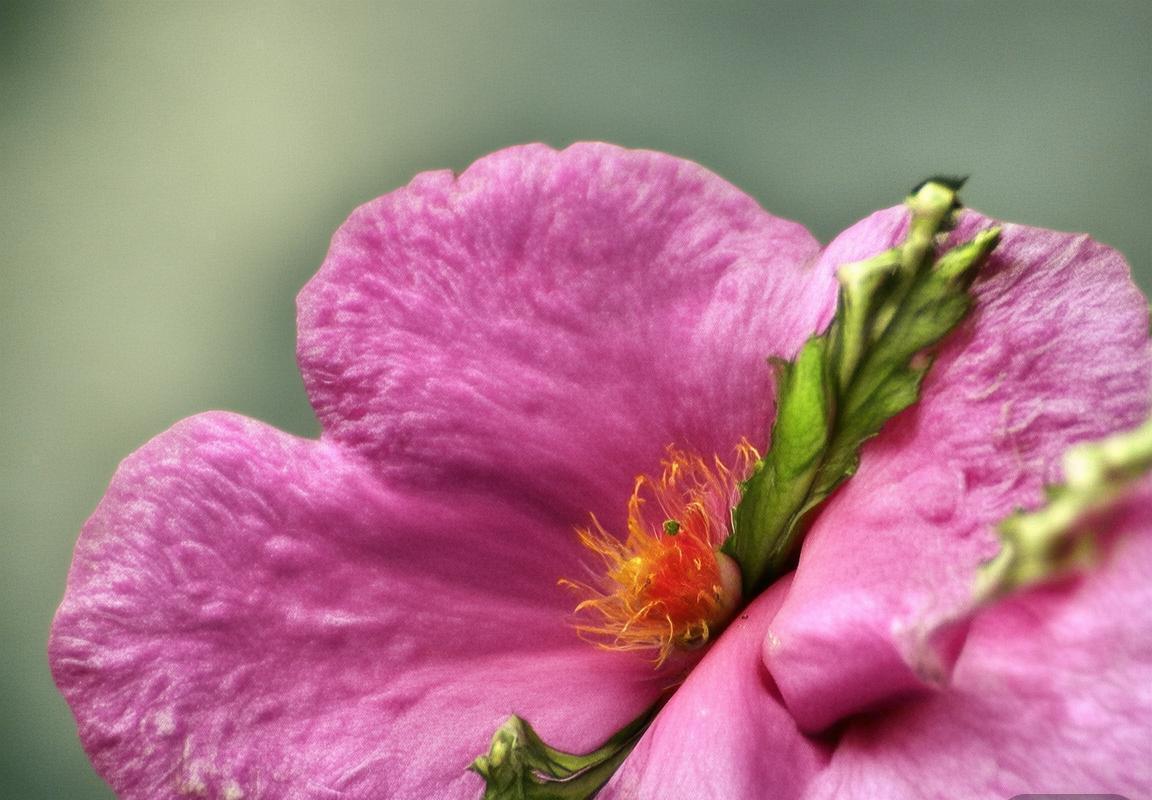 欧冠史诗逆转！曼城力克皇家马德里，瓜迪奥拉完美复仇晋级