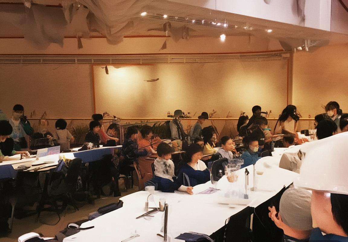 火箭主场大胜骑士！杰伦-格林延续火热状态，阿门-汤普森和惠特摩尔闪光，乌度卡教练打造防守体系显威，申京扭伤膝盖无结构性损伤